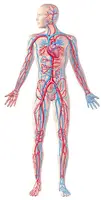 Science & Medical