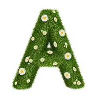 Alphabets